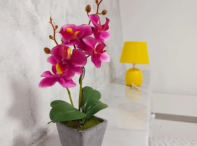 Matrimoniale 热那亚