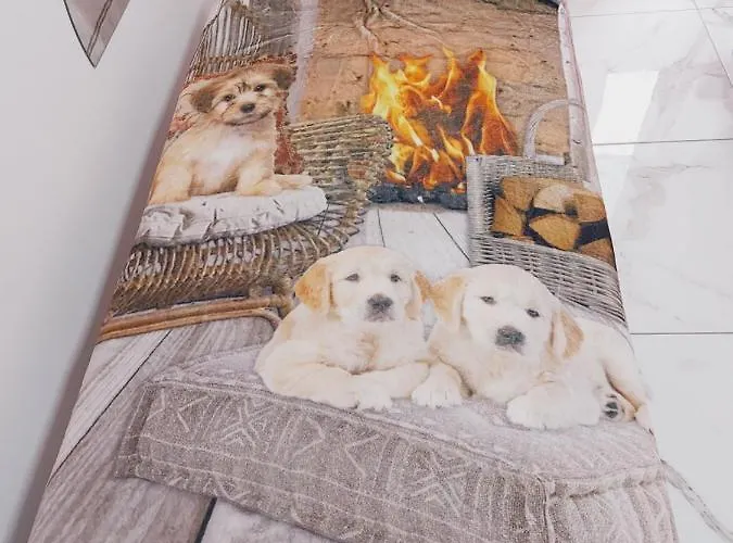 Matrimoniale 情趣酒店 热那亚